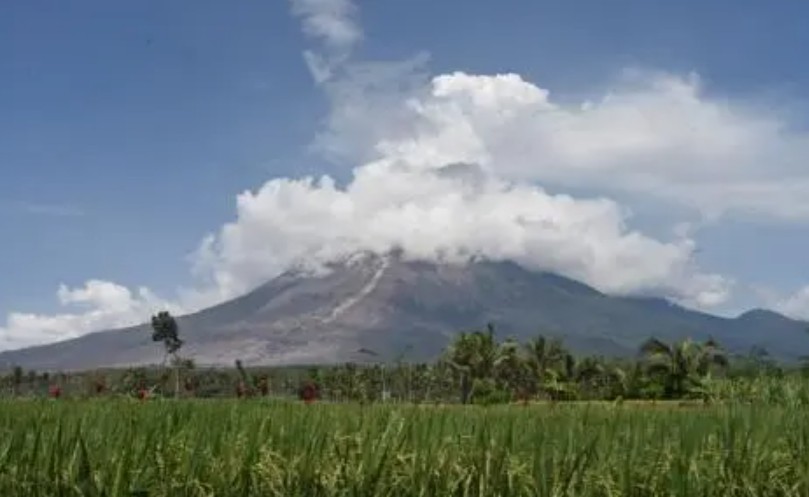 2号站印尼塞梅鲁火山剧烈喷发 处最高警戒级别
