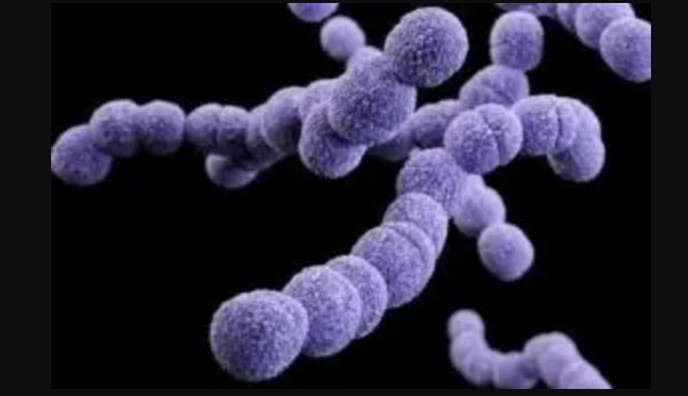 A型链球菌已造成英国19名儿童死亡天辰