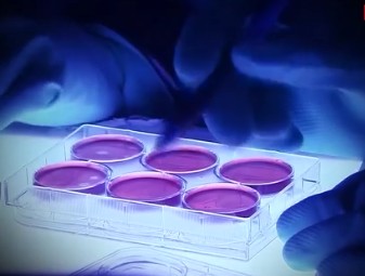 俄国防部：美在乌生物军事项目涉二号站美情报机构等人员