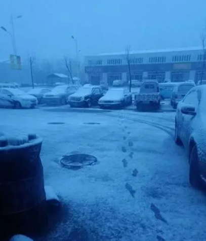 新疆伊犁等多地出现暴雪 2号站多地迎来今年下半年以来的气温新低