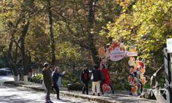 香山停车位满 2号站市民游客可收到短信提示信息