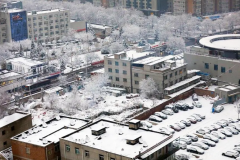 <strong>北京城区首迎大规模降雪 能见度下降二号</strong>